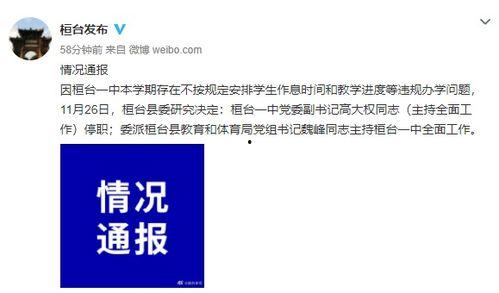 桓台一中爆料新闻最新,揭秘校园风云事件背后的真相  第3张