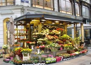 唐山花店吃瓜免费,吃瓜免费，共享夏日清凉时光  第2张